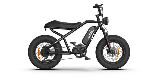 RAEV Bullet V2 Electric e-Moto Style eBike-Moto 500 w Electric Pit Bike