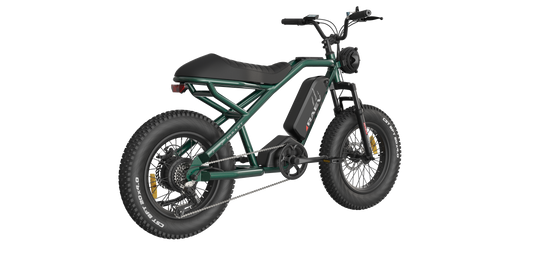 RAEV Bullet SE Electric e-Moto Style eBike-Moto 500 w Electric Pit Bike