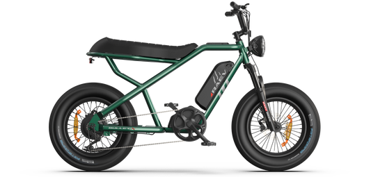 RAEV Bullet X eMOTO Fat Tire eBike