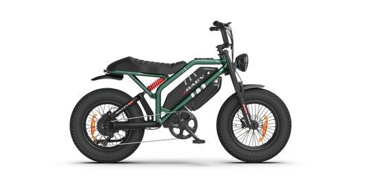 RAEV Bullet GT V2 Electric e-Moto Style eBike-Moto 1000 w Electric Pit Bike