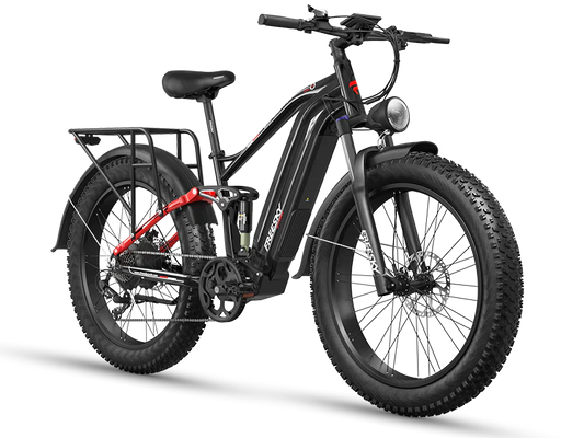 eBike Freesky Eurostar Ultra M-410