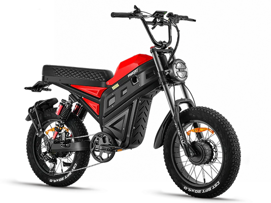 eMOTO Freesky Cheetah MT-380