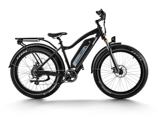  HIMIWAY Cruiser D3 750 w Step Over Ebike 26x4 Fat Fat Tire Electric Beach Cruiser eBike