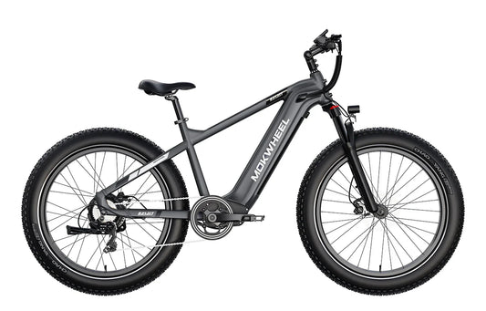 Grey MOKWHEEL Basalt 750 w Step Over Ebike 26x4 Fat Tire Fat Tire Electric Beach Cruiser eBike