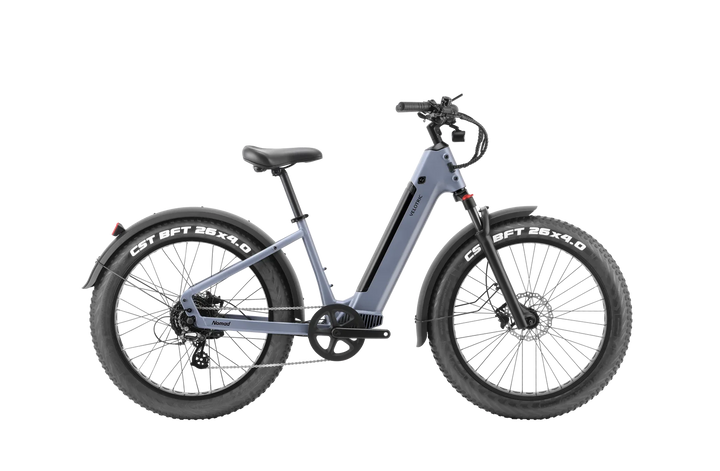 Forest VELOTRIC Nomad 1 750w Step Thru eBike 26x4 Fat Fat Tire Electric Beach Cruiser eBike