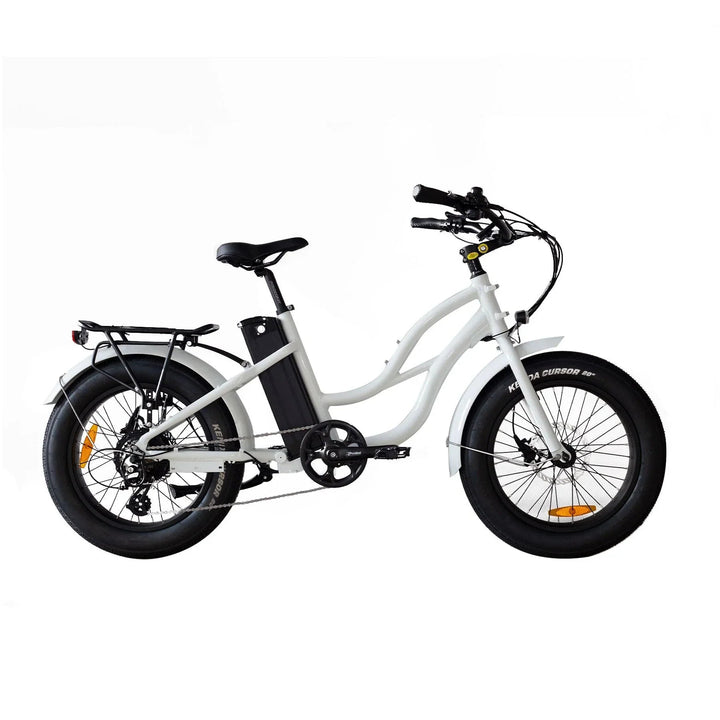 Big Bear eBikes COASTAL CRUISER 52V 20 Thru 750 w Ready to Ride Step Thru Ebike 20x4 Mini Fat Tire Electric Beach Cruiser eBike by Coastal Cruiser - Electric Bike Super Shop