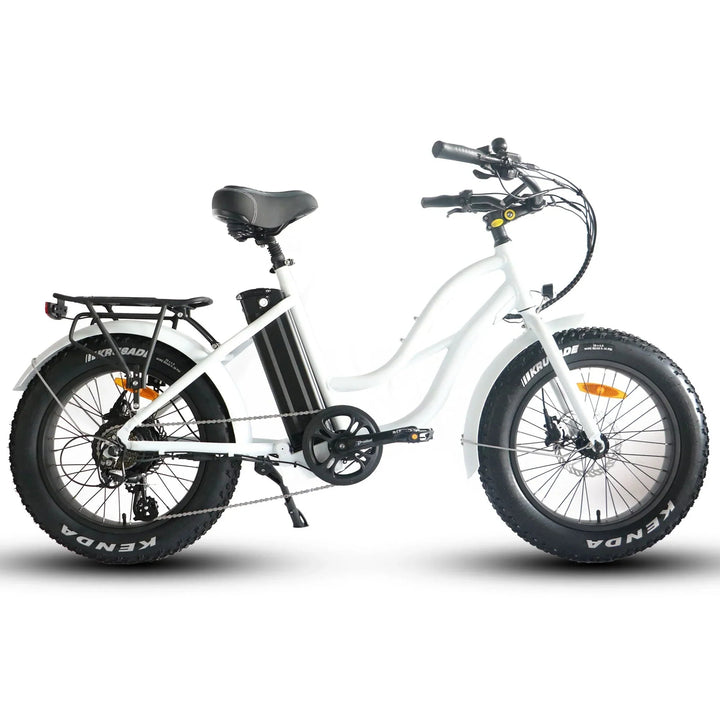 Big Bear eBikes COASTAL CRUISER 52V 20 Thru 750 w Ready to Ride Step Thru Ebike 20x4 Mini Fat Tire Electric Beach Cruiser eBike by Coastal Cruiser - Electric Bike Super Shop