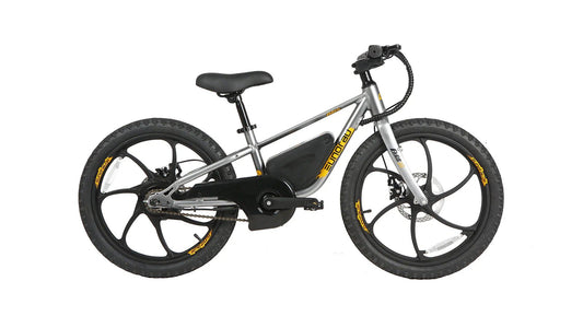 Big Bear eBikes EKIDS 20 2024 250W Kids Micro Ebike 20x1.95" Electric Micro eBike by Eunorau - Electric Bike Super Shop