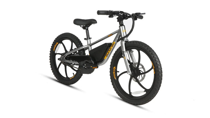 Big Bear eBikes EKIDS 20 2024 250W Kids Micro Ebike 20x1.95" Electric Micro eBike by Eunorau - Electric Bike Super Shop