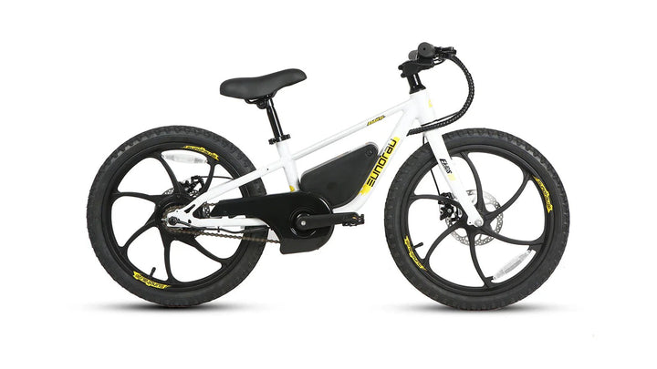 Big Bear eBikes EKIDS 20 2024 250W Kids Micro Ebike 20x1.95" Electric Micro eBike by Eunorau - Electric Bike Super Shop