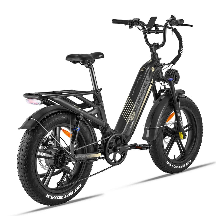 Big Bear eBikes FREESKY Rocky 750 w Ready to Ride Step Thru Ebike 20x4 Electric Cargo eBike - Cargo eBike - eBike Super Shop