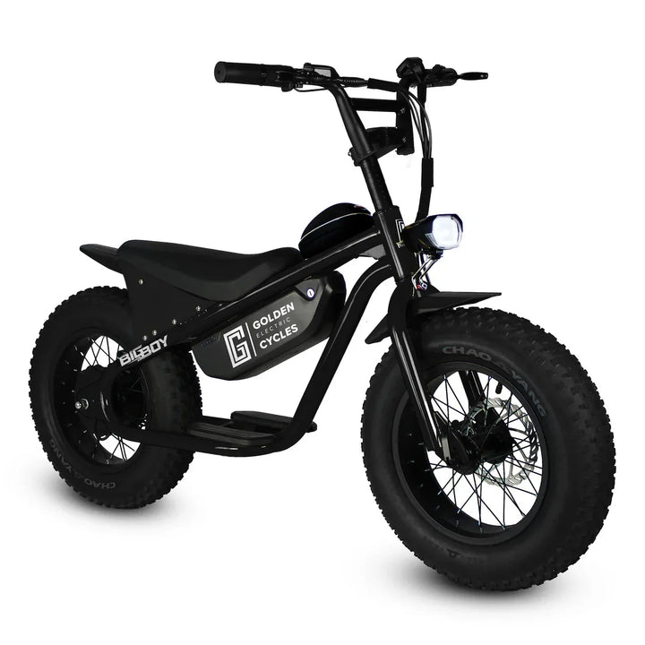 Mini fat tire bike sales