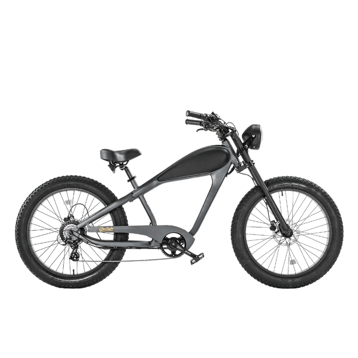 Big Bear eBikes REVI Cheetah 750 w Ready to Ride Step Over Ebike 26x4 Electric Vintage eBike by Revi - Electric Bike Super Shop