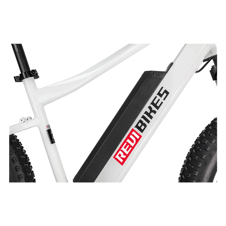 Big Bear eBikes REVI Predator 750 w Ready to Ride Step Over Ebike 26x4 Electric Fat Tire Mountain eBike by Revi - Electric Bike Super Shop