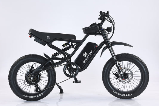 GHOSTCAT F3x.2 1500W Pro - Dirt - GHOST|F3x.2 1500|25 ah|Black eBike Super Shop