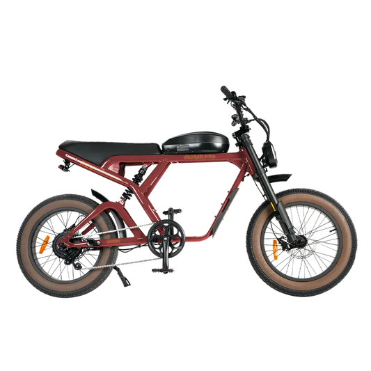 eBike Revi Cougar Pro