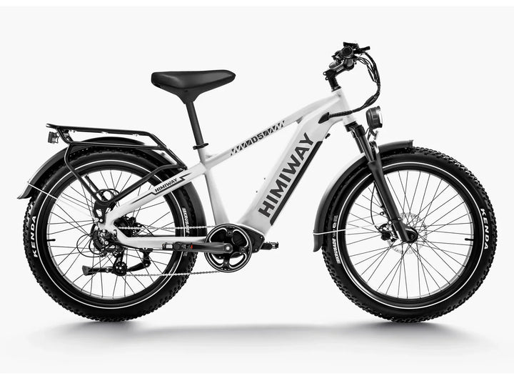 Green HIMIWAY Zebra  750 w Step Over Ebike 26x4 Fat Electric Fat Tire Mountain eBike