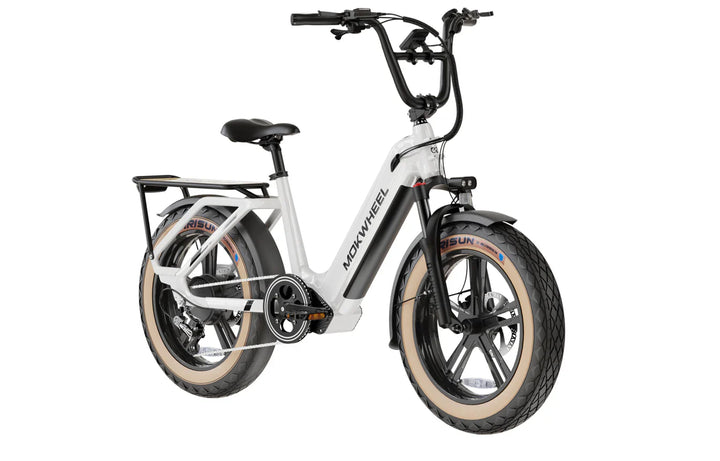  MOKWHEEL Scoria 750 w Step Thru Ebike 20x4 Fat Tire Electric Cargo eBike