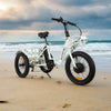 White EUNORAU New Trike 500w Trike eBike 20x3 Fat Electric Trike 3 Wheel eBike